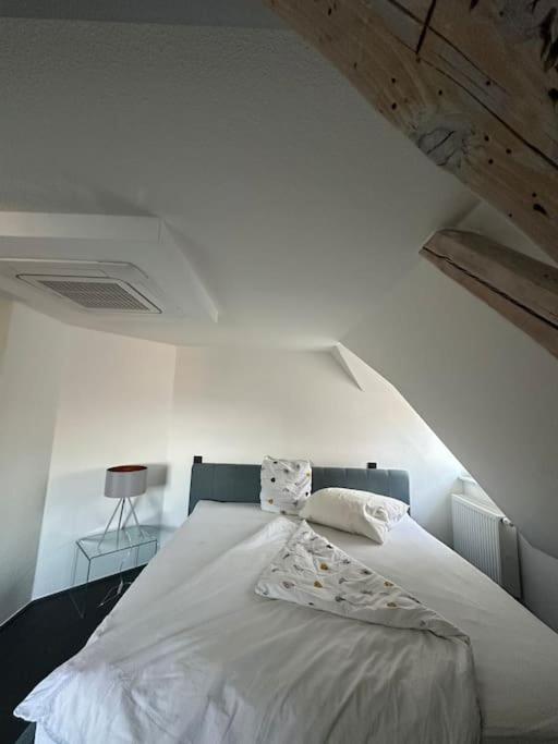 Panorama Penthouse In Wunderschoener Villa Кассель Екстер'єр фото