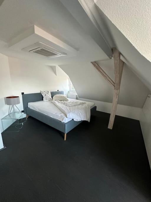 Panorama Penthouse In Wunderschoener Villa Кассель Екстер'єр фото